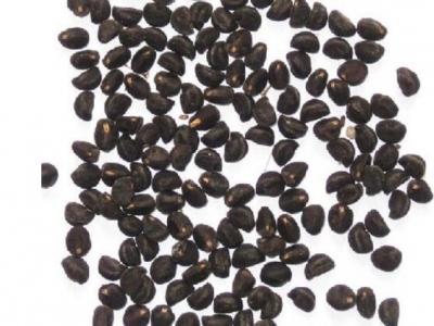 牽?；ǚN子泡水開(kāi)裂
